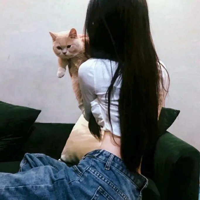 喜剧生活